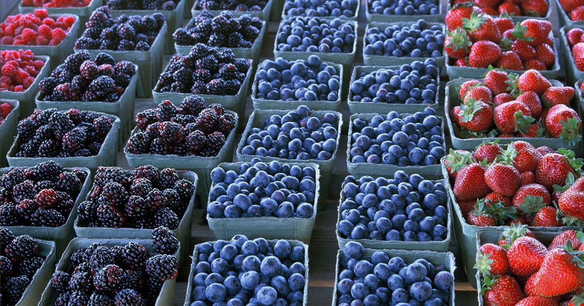Frozen Berries With Hot White Chocolate Barefoot Contessa Frozen Berries With Hot White Chocolate Barefoot Contessa