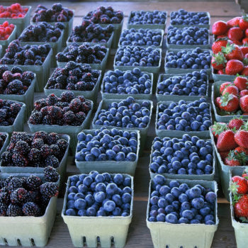 Frozen Berries With Hot White Chocolate Barefoot Contessa Frozen Berries With Hot White Chocolate Barefoot Contessa