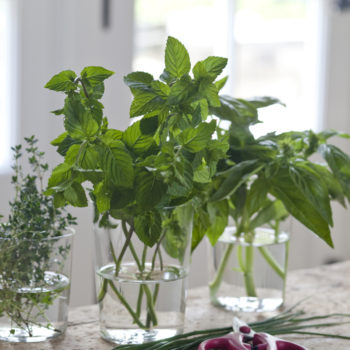 Drinking Glasses used as Vases